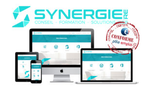 Synergie.reArticleblogCertficiation
